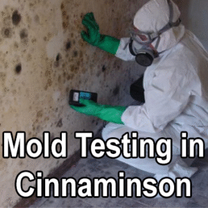 Mold Testing in Cinnaminson