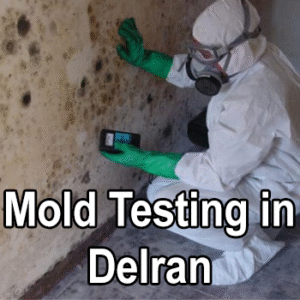 Mold Testing in Delran