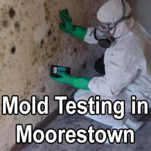 Mold Testing in Moorestown