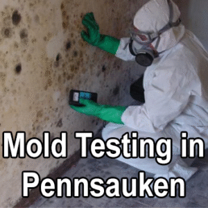 Mold Testing in Pennsauken