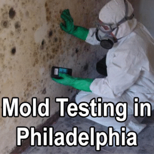 Mold Testing&nbsp;in Philadelphia