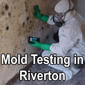 Mold Testing in Riverton