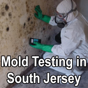 Mold Testing in South Jersey