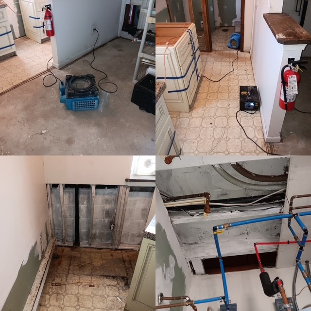 Recent Mold Treatment Project in Berlin, NJ