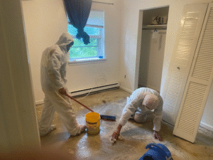 Mold Remediation in Atco, NJ