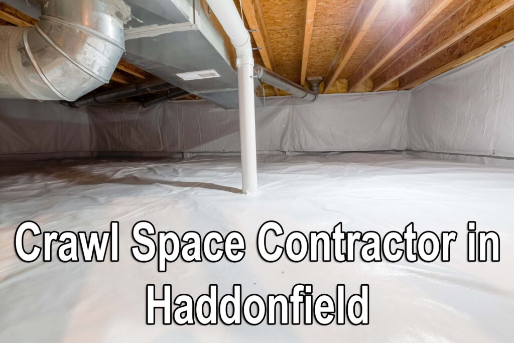Crawl Space Contractor in Haddonfield
