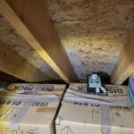 Attic Mold Testing & Air Quality Testing 