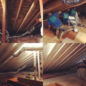 Attic Services in NJ, PA & DE