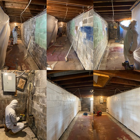 Basement Mold Remediation Project Completed in New Jersey
