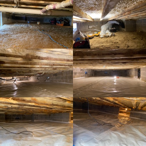 Defeating Mold and Future Crawlspace Encapsulation in Cape May
